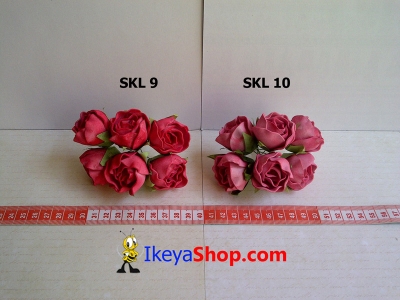 SKL 9 10  large2